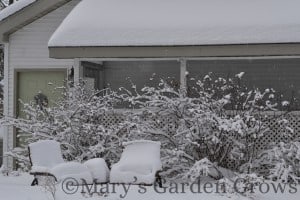 More Snow! :( More Snow!