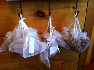 A few of the collected seeds Seeds