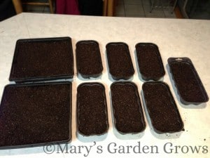 Trays Ready To Go! Trays Ready To Go!