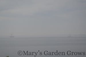 Duluth Rose Garden - Old Ships