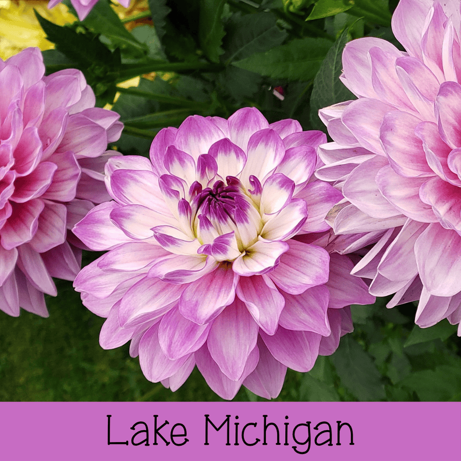 Lake Michigan