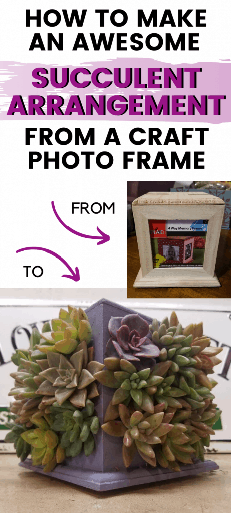 Succulent Frame DIY